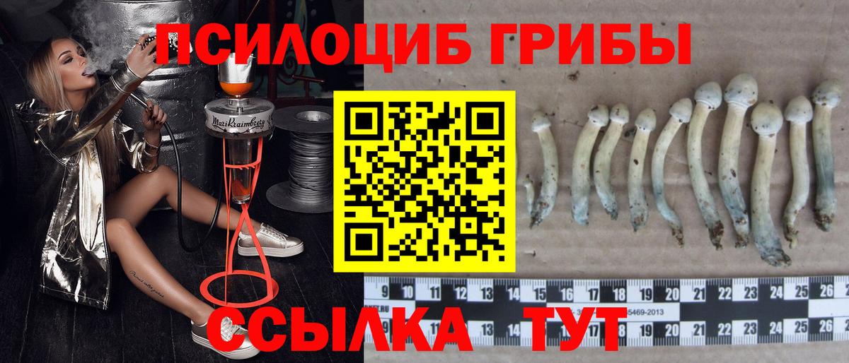 Галлюциногенные грибы Psilocybine cubensis  Вход с VPN  Тула 